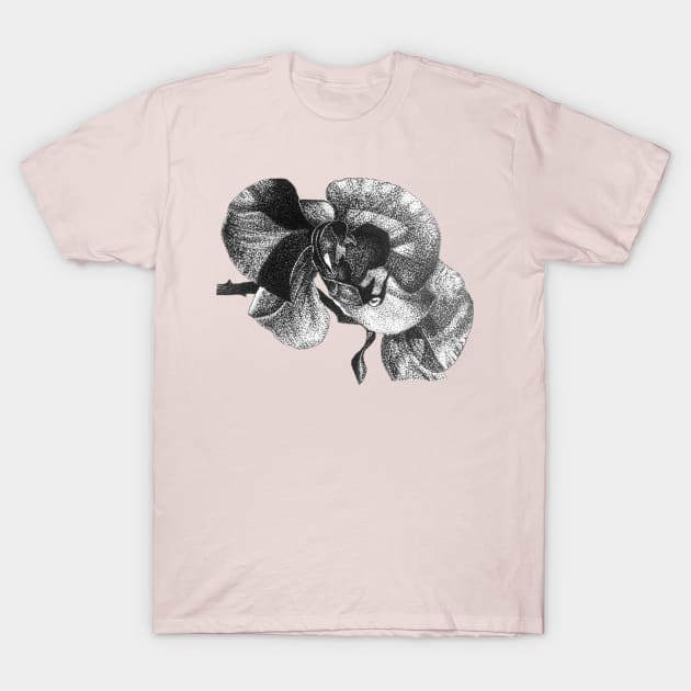 "Wild Orchid" T-Shirt by SeanKalleyArt